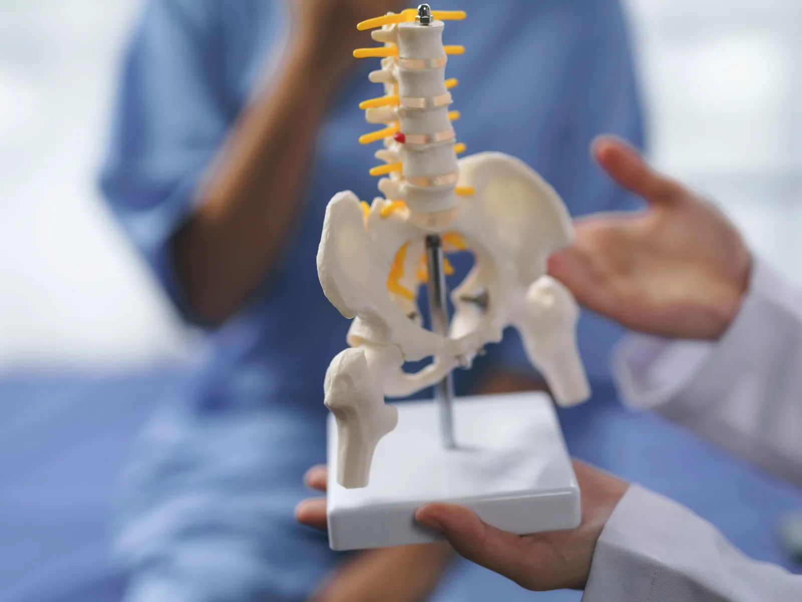 Axonale Polyneuropathie: Nervenmodell