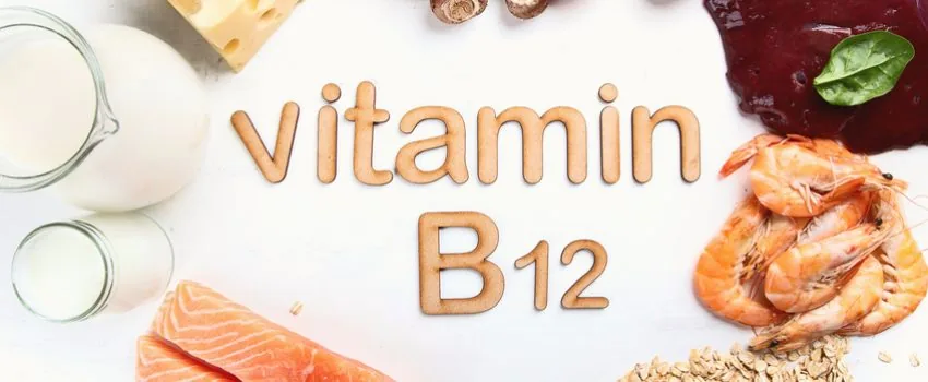 Vitamin B12 reiche Lebensmittel